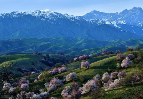 乌鲁木齐一日游免费景点大全 乌鲁木齐一日游免费景点大全
