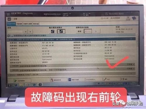 奔驰专检如何查资料？