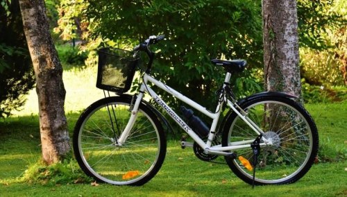 自行车选购全攻略？