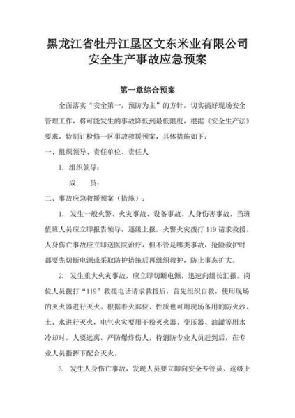 个人安全预案怎么写？