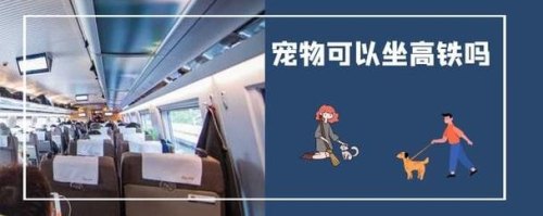 坐高铁宠物托运需要什么流程 坐高铁宠物托运需要什么流程