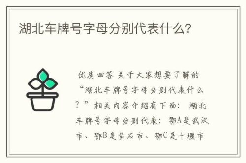 车牌这个y字母代表什么