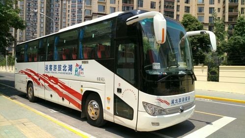 新运旅游大巴照片高清