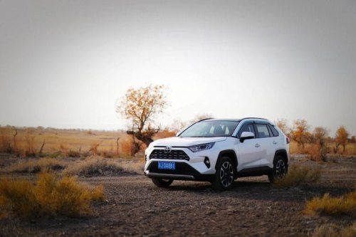 荣放都市版车主真实感受？