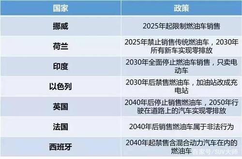 新能源汽油国家政策？