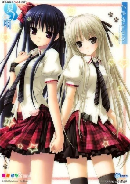 我打入了二次元的内部小说