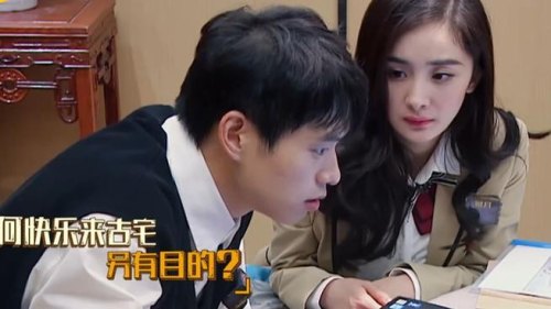 杨幂魏大勋参加过什么综艺 杨幂魏大勋参加过什么综艺