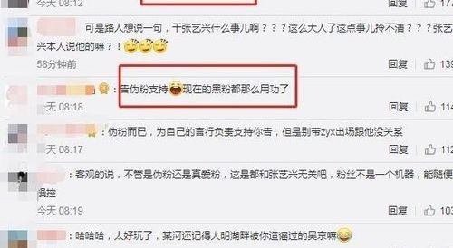 伪粉是冒充粉丝的意思吗