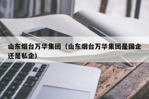 青岛华辰伟业是私企还是国企？