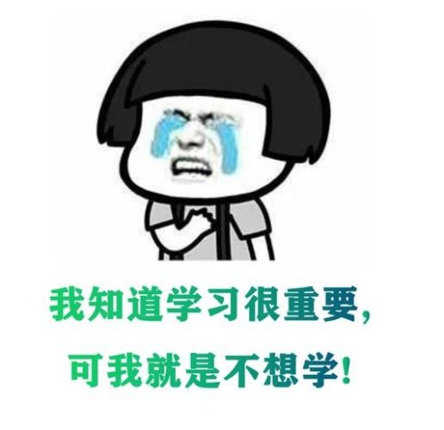 沉不下心去学习,想学习的时候总有事情打扰到自己,该怎么办? 沉不下心去学习,想学习的时候总有事情打扰到自己,该怎么办?