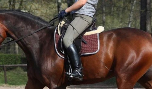 骑马怎么控制方向？