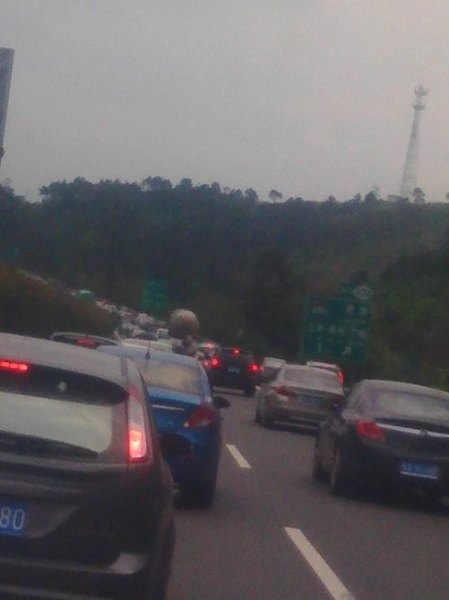 为什么现在的高速公路一堵车就是10几个小时拜托各位大神？