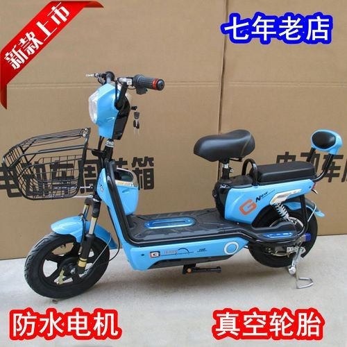 两轮电瓶车最大马力？