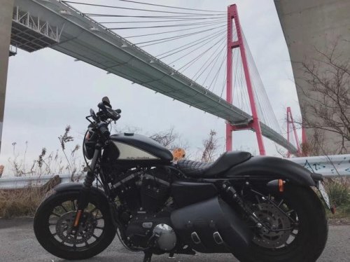 开哈雷是一种什么样的感觉？