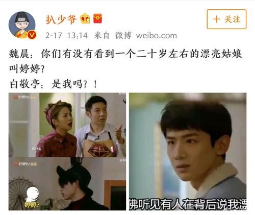 魏晨和白敬亭双凶是哪一期